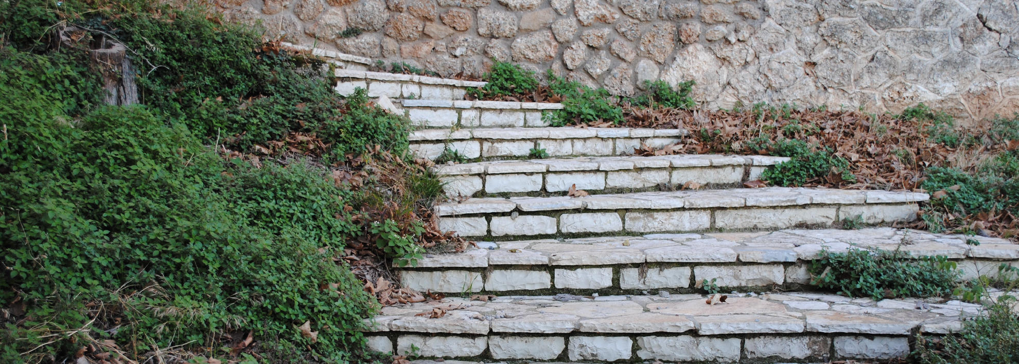 αμπελοκοιποι αχαϊας συλλογος αρφαρα εργο σκάλες